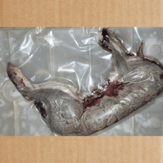 whole rabbit with skin on in cryo-vac bag